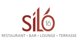 Logo Silo16